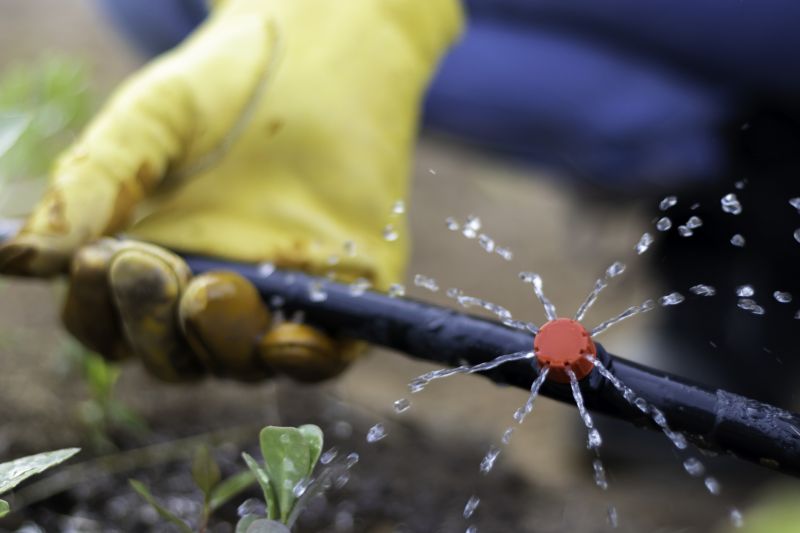 Garden Sprinkler Replacement in Ventura County, CA