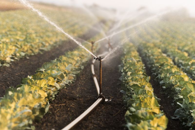 Mist Irrigation Installation in Ventura County, CA
