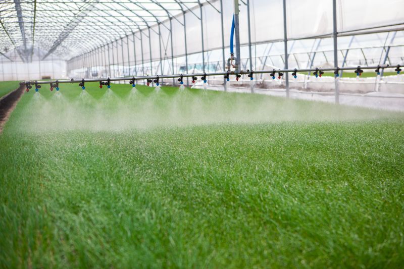 Watering System Installation in Ventura County, CA